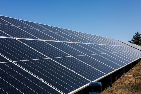 Ilustrasi Panel Surya. Foto: Shutterstock