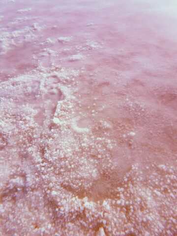 Pink Salt Ocean Pink Salt Ocean