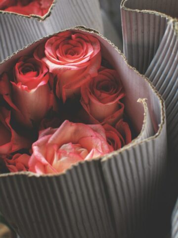 Aesthetic Pink Flower in Cardbox Aesthetic Pink Flower in Cardbox