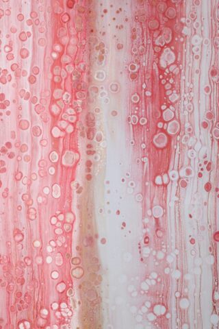 Pink Water Pink Water